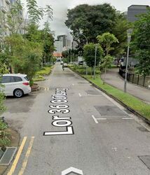 Lorong 36 Geylang (D14), Terrace #538150241
